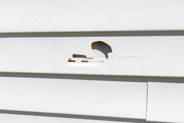 Affordable siding repair and maintenance services in Metter, GA